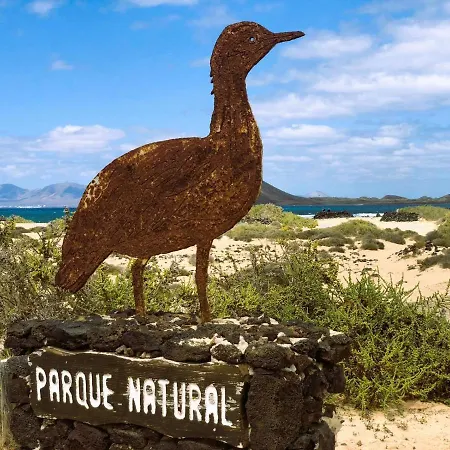 Golden Deluxe By Avila فيلة *