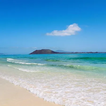 Golden Deluxe By Avila Willa