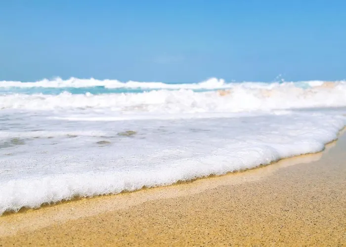 Golden Deluxe By Avila 코라레호