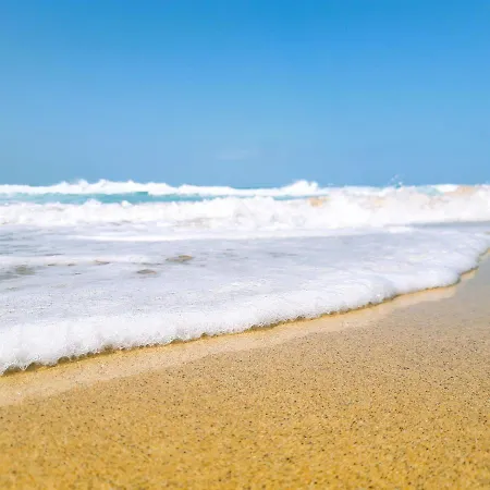 Golden Deluxe By Avila Corralejo